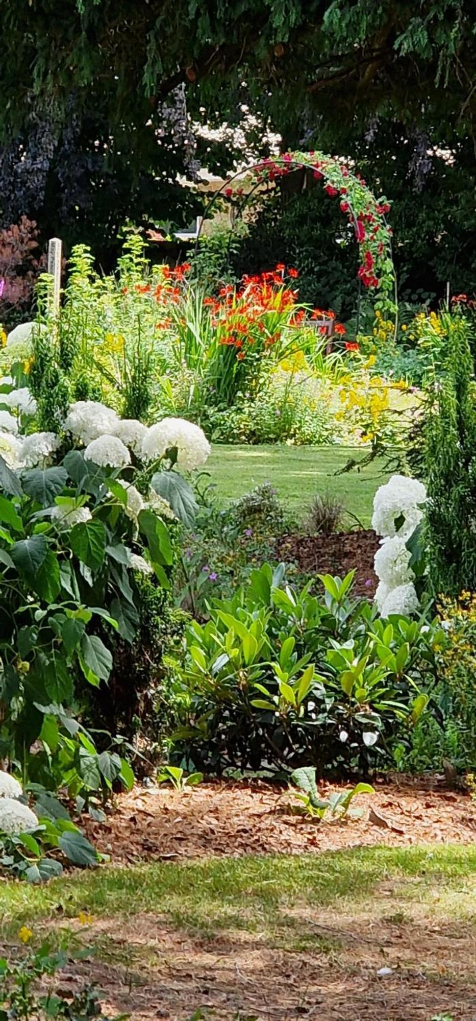 Claridge House Bed and Breakfast Lingfield Exteriör bild